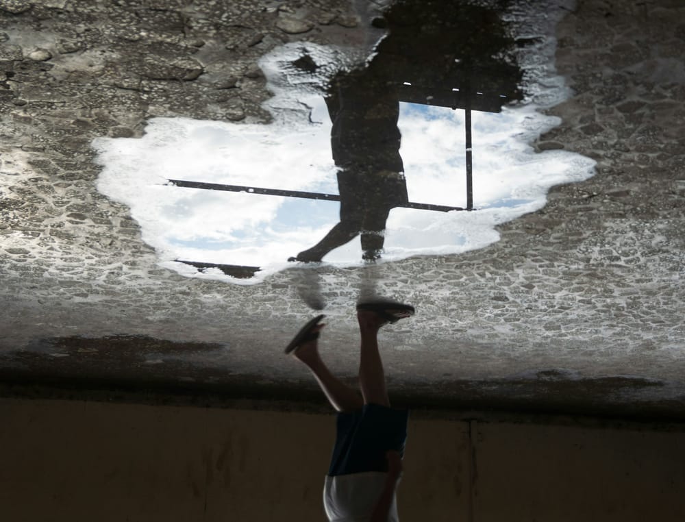 Stemmene som utfordrer - om Vilje media innleggsbilde