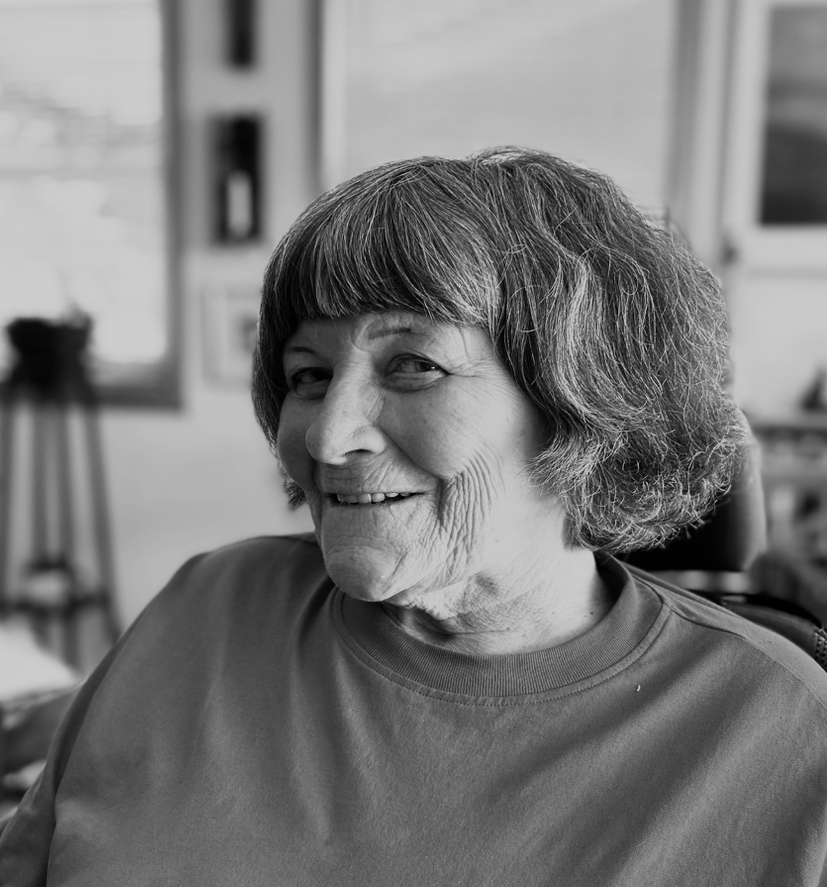 Torhild Hanem - Jenta som slutta å snakke innleggsbilde