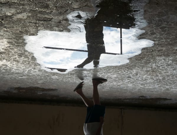 Stemmene som utfordrer - om Vilje media innleggsbilde