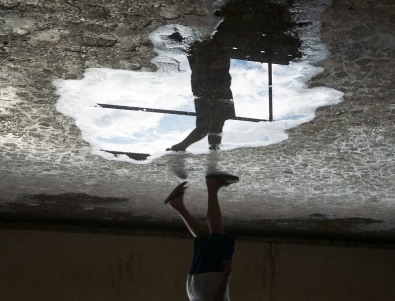 Stemmene som utfordrer - om Vilje media innleggsbilde